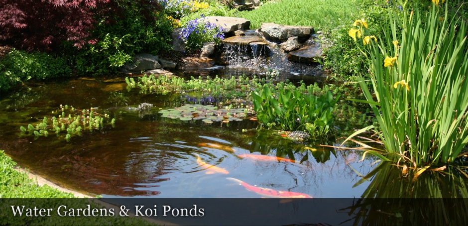 Water Gardens and Koi Ponds